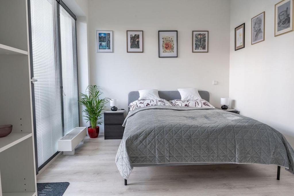 Apartmán Nove Sady Olomouc Exteriér fotografie